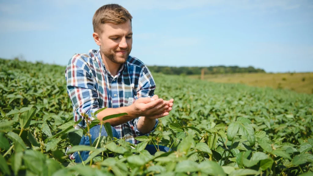 Comparing Available Temperature Monitoring Systems